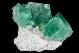 Green Fluorite Crystal Cluster - South Africa #111564-1